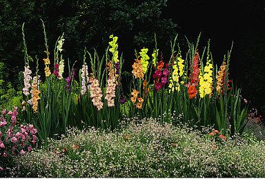 《火影忍者：终极风暴羁绊》角色DLC“漩涡博人（「楔」进化）”发售 定价38元